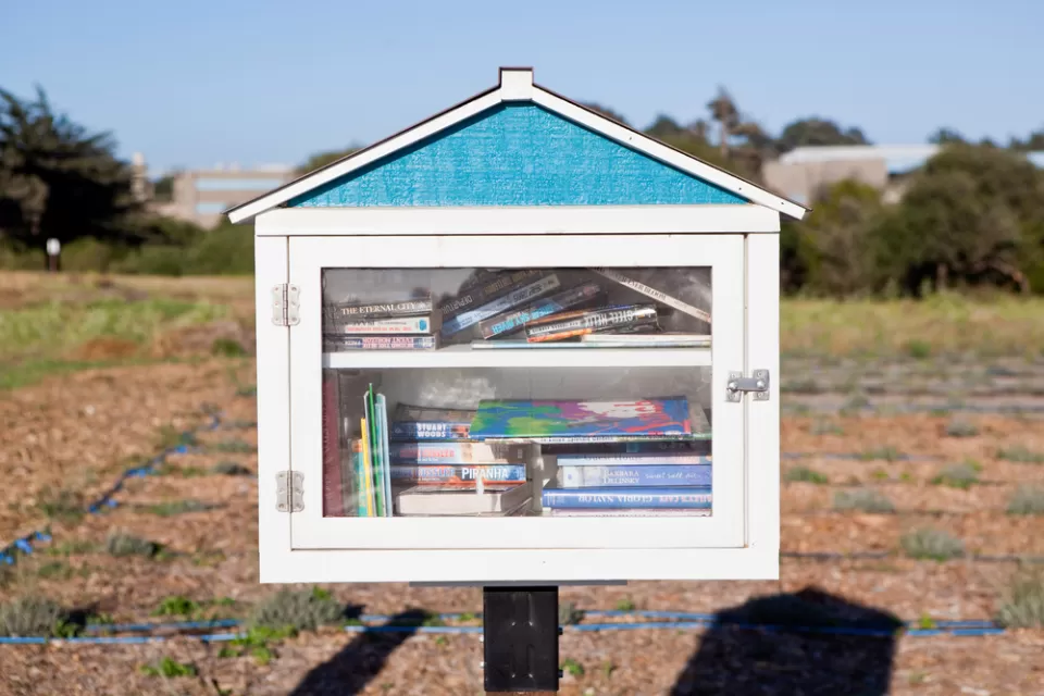 Little Free Library
